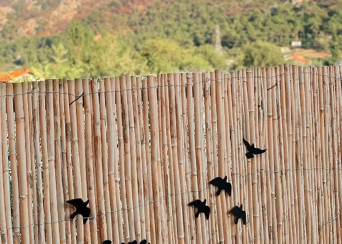 Kairos Pasa Bungalow *