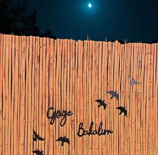 Kairos Pasa Bungalow *