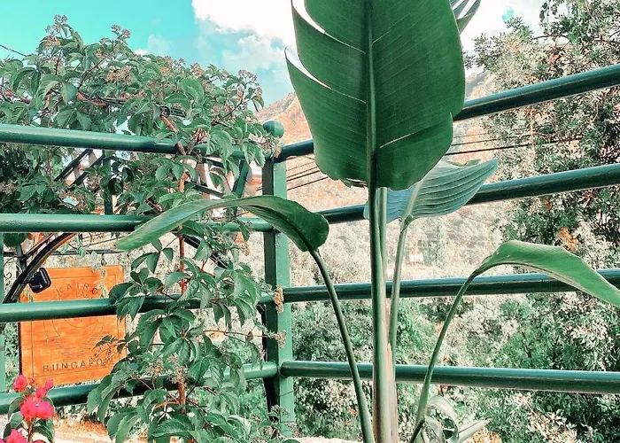 Kairos Pasa Bungalow شقة فندقية *